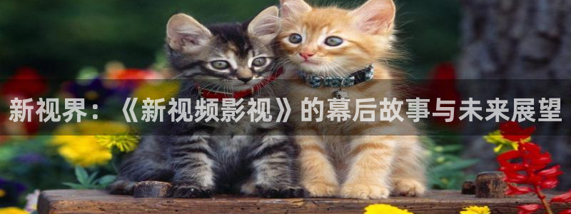 红桃影视在线观看免费：新视界：《新视频影视》的幕后故事与未来展望