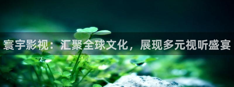 红桃影院电视剧在线播放免费：寰宇影视：汇聚全球文化，展现多元视听盛宴