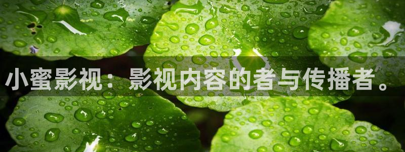 红桃视影：小蜜影视：影视内容的者与传播者。