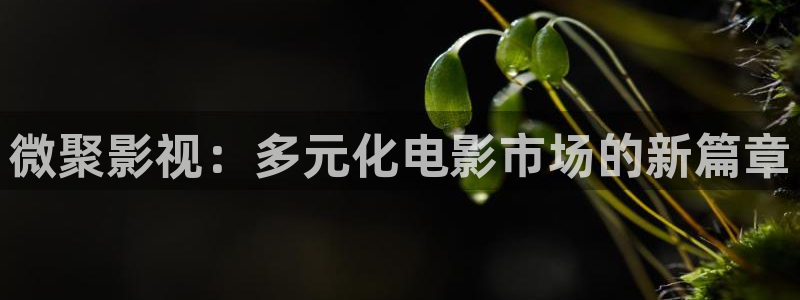 红桃电影在线免费观看