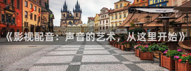 红桃影院最新网址：《影视配音：声音的艺术，从这里开始》