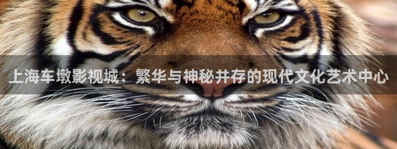 红桃电影院地址：上海车墩影视城：繁华与神秘并存的现代文化艺术中心