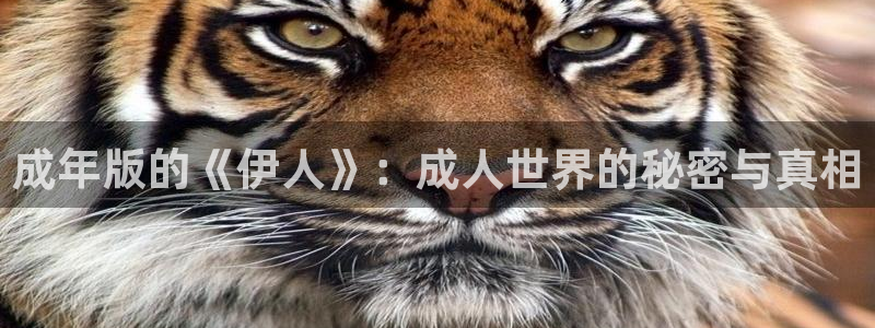 红桃影院电视剧免费播放最新：成年版的《伊人》：成人世界的秘密与真相