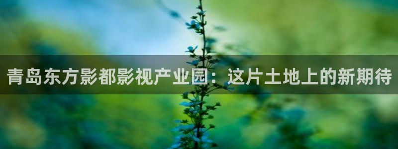 红桃电影院：青岛东方影都影视产业园：这片土地上的新期待