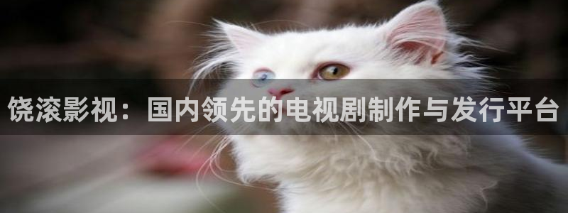 红桃影院免费入口：饶滚影视：国内领先的电视剧制作与发行平台